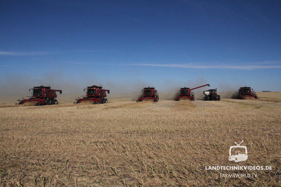 Canada Grain Harvest_01.jpg